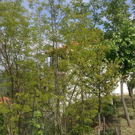 πανδοχείο λίμνης πλαστήρα *